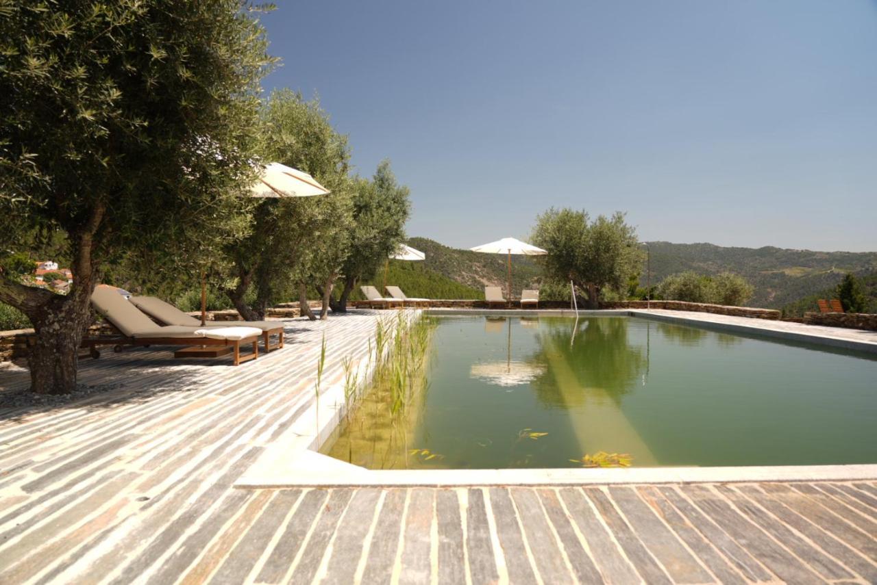 Quinta Vila Rachel - Winery Sao Mamede de Ribatua Eksteriør billede