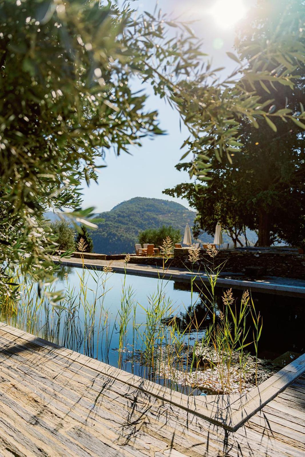 Quinta Vila Rachel - Winery Sao Mamede de Ribatua Eksteriør billede
