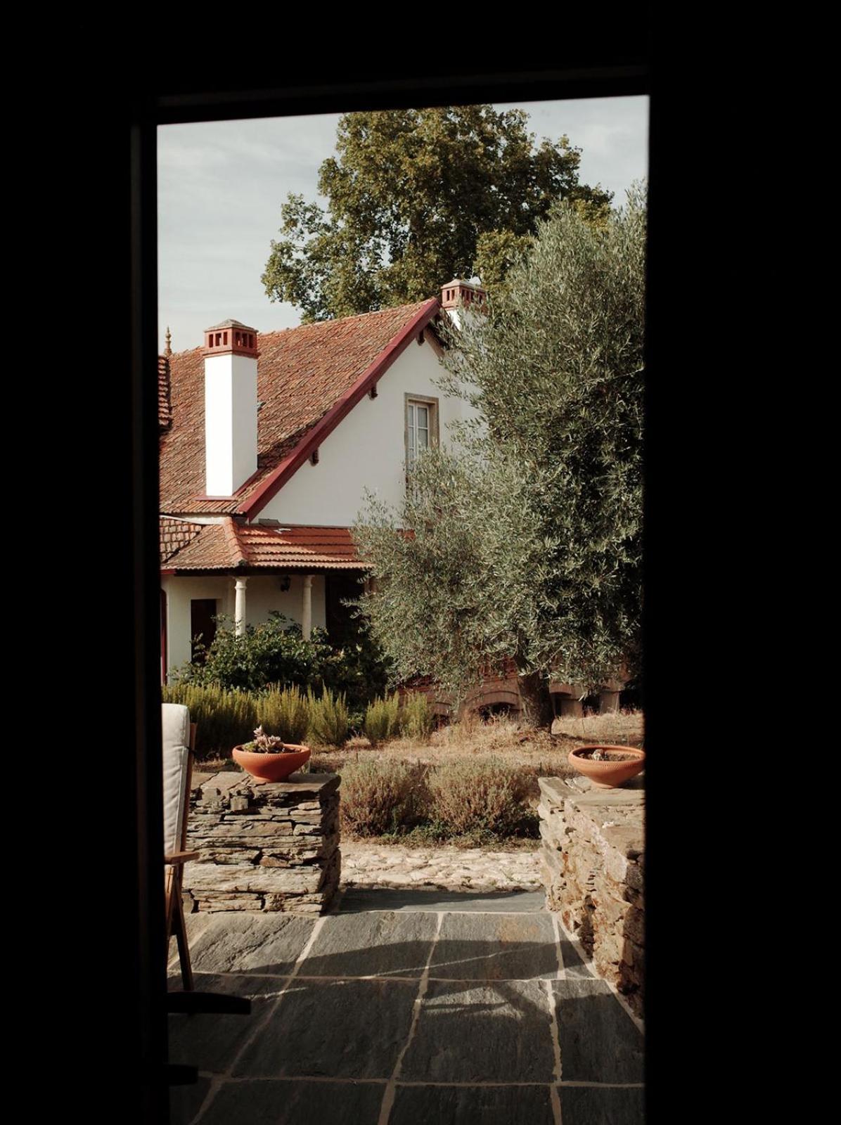 Quinta Vila Rachel - Winery Sao Mamede de Ribatua Eksteriør billede