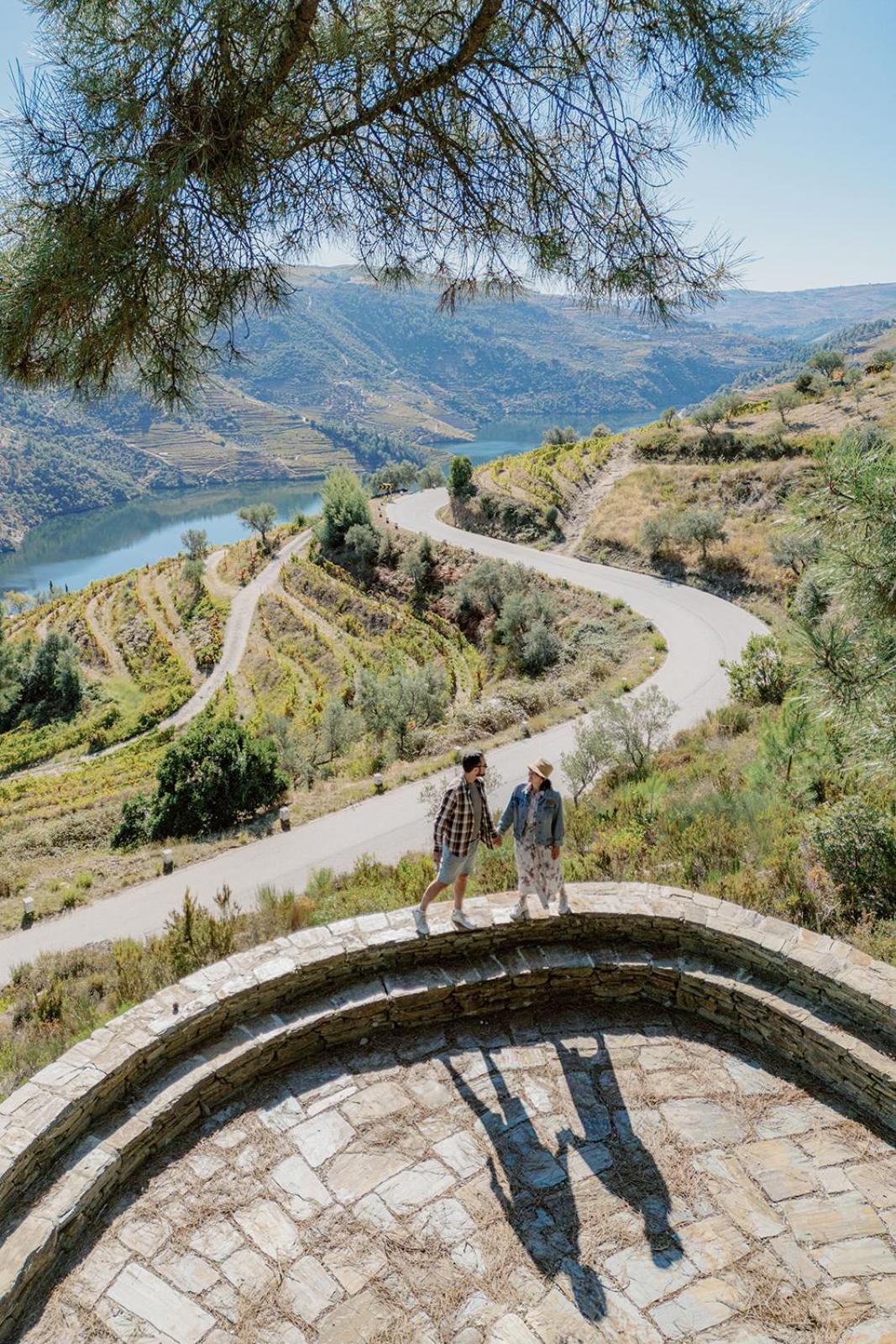 Quinta Vila Rachel - Winery Sao Mamede de Ribatua Eksteriør billede